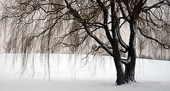 images/filler_13.jpg#joomlaImage://local-images/filler_13.jpg?width=333&height=180